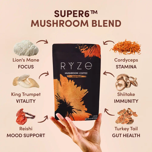 Mushroom Coffee Dark Roast (30 Servings) - for Bold Everyday Brewing