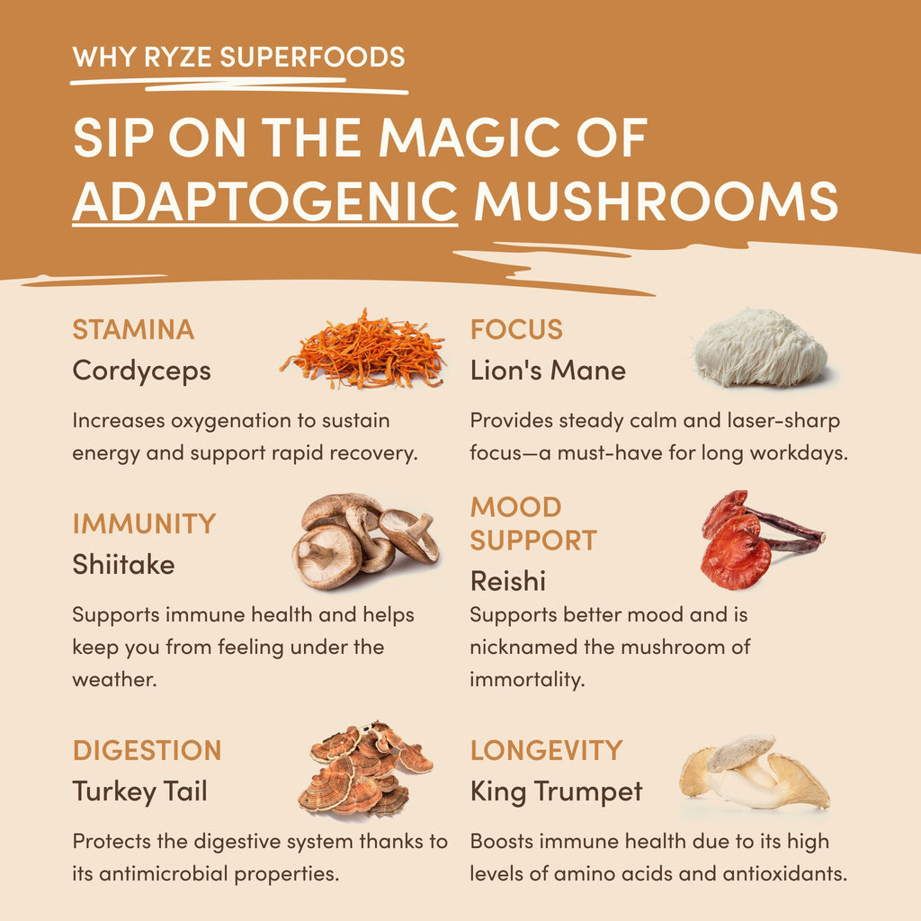 Mushroom Overnight Oats (14 Servings) - for Convenient Everyday Breakfasts