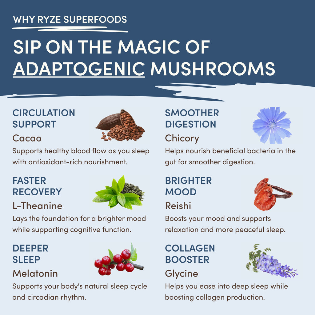 Mushroom Hot Cocoa (20 servings) - for a Comforting Evening Drink