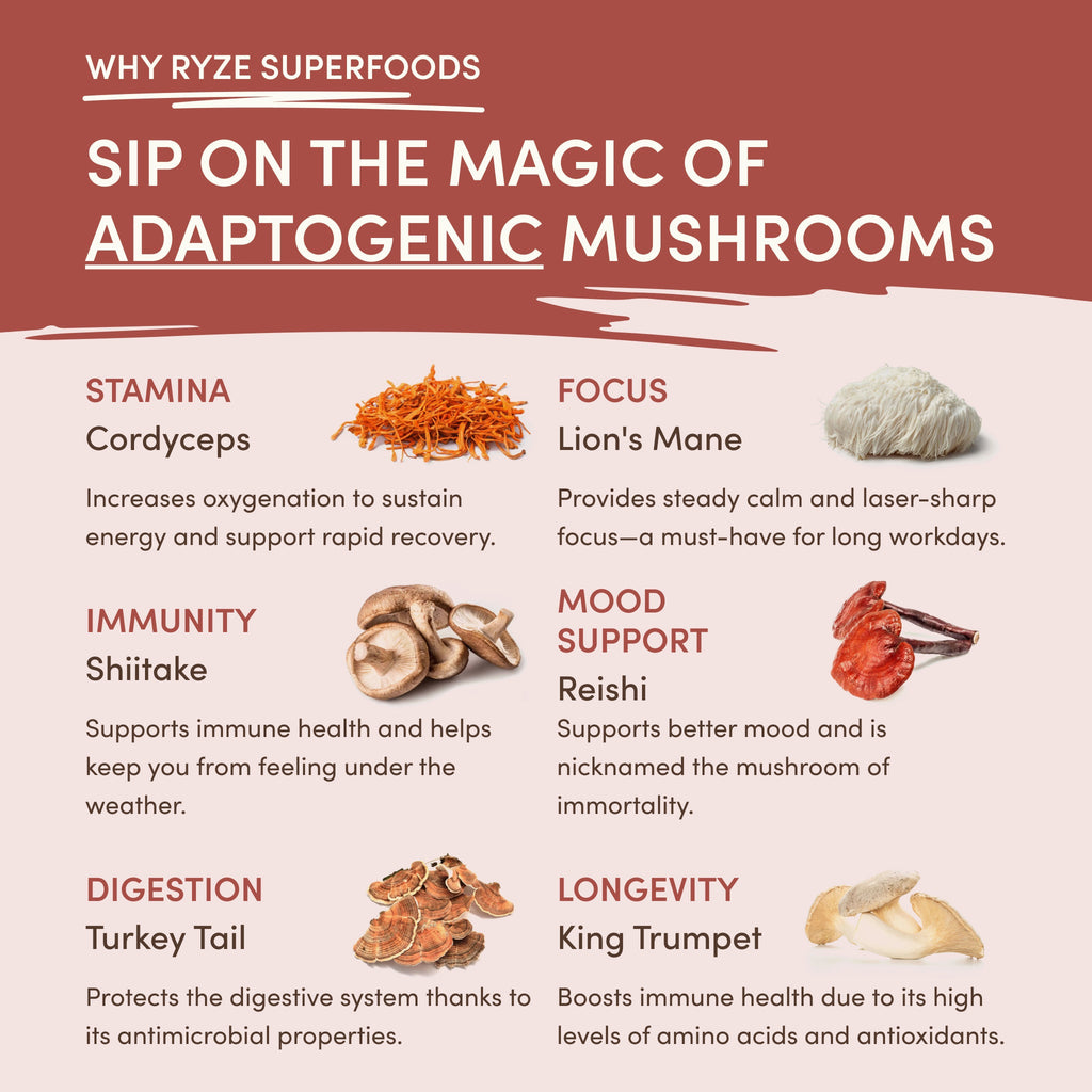 Mushroom Chicory (30 Servings) - for Smooth Caffeine-Free Brewing