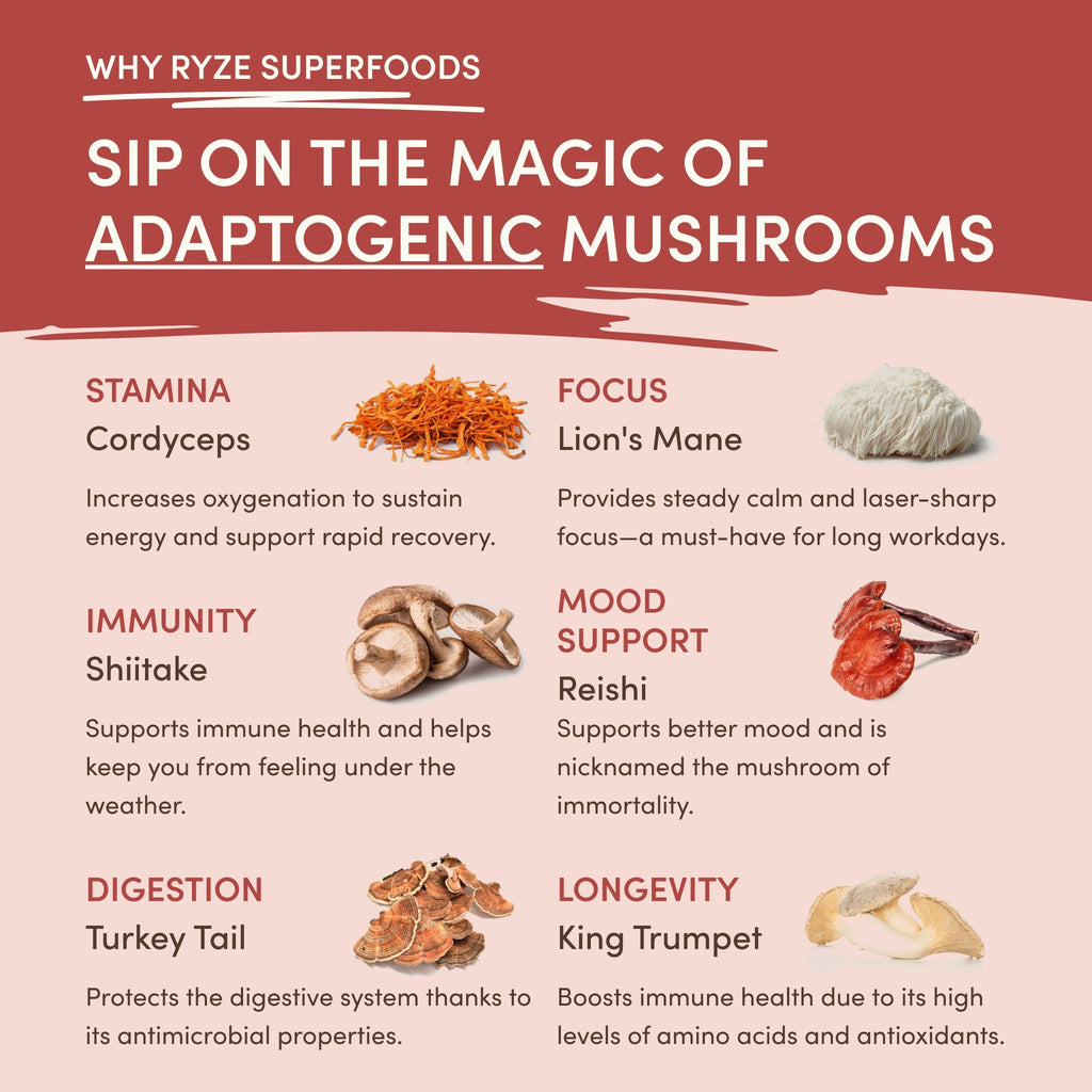 Mushroom Chai (20 Servings) - for Warm Everyday Chai